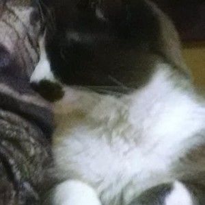 Meet your Posher, Sara